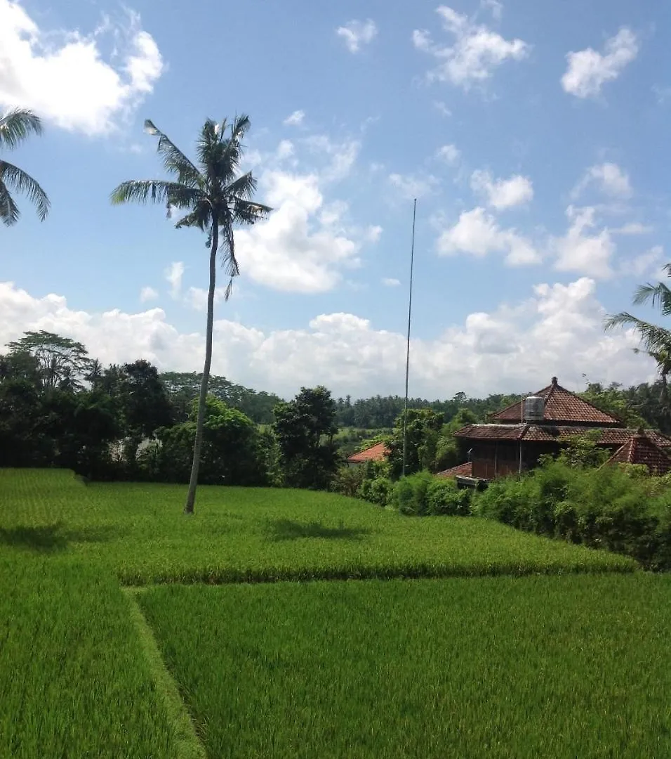 Uma Dhari Villa By Prasi Ubud 3*,