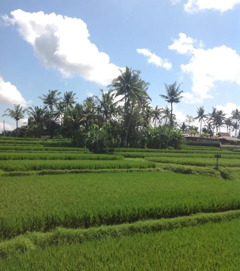 Uma Dhari Villa By Prasi Ubud Pensión