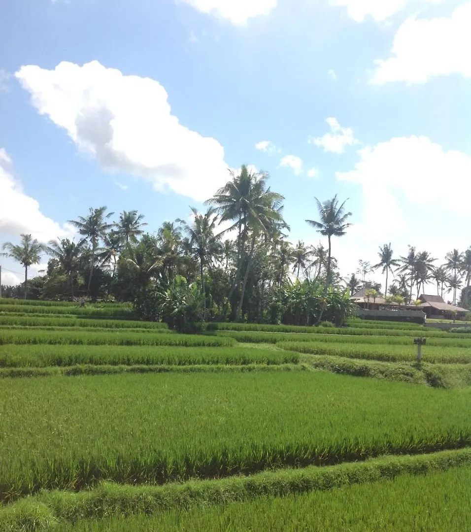 Uma Dhari Villa By Prasi Ubud